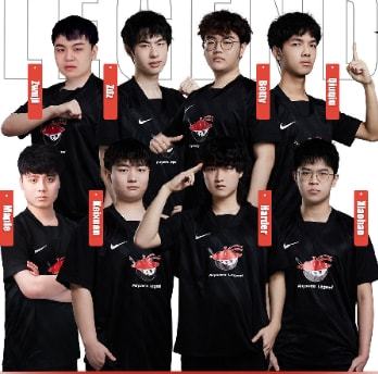 维尼修斯的 维尼修斯的